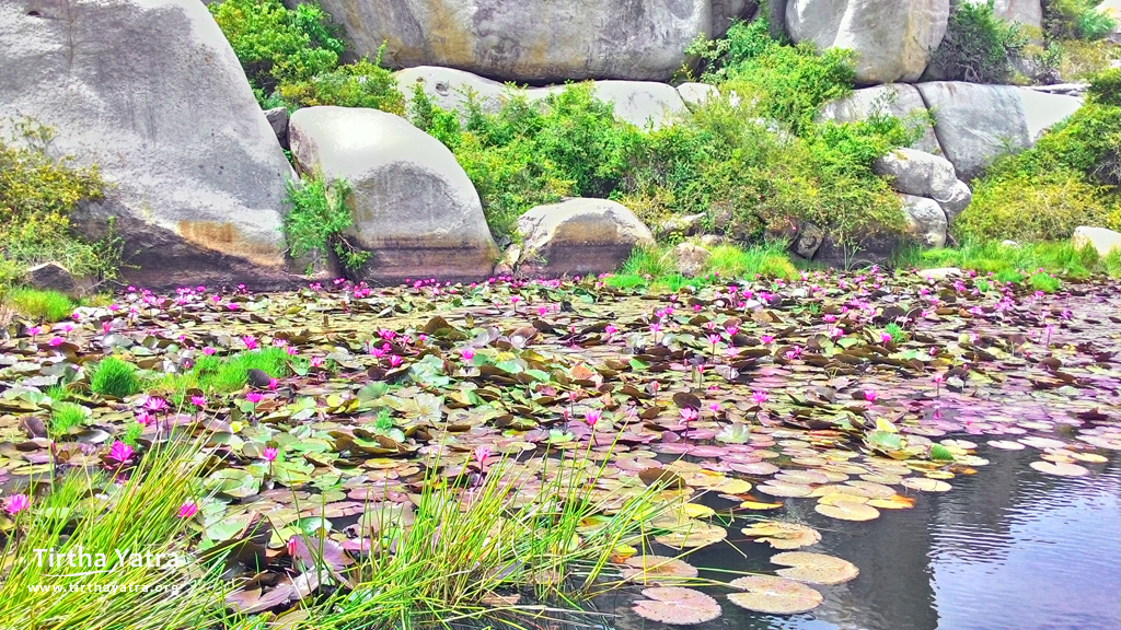 garden of Lava and Kusha at Avani