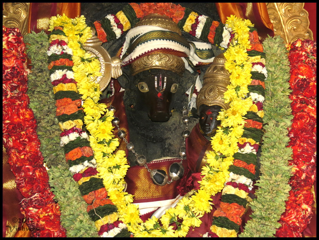 varaha lakshmi narasimha swamy stotram